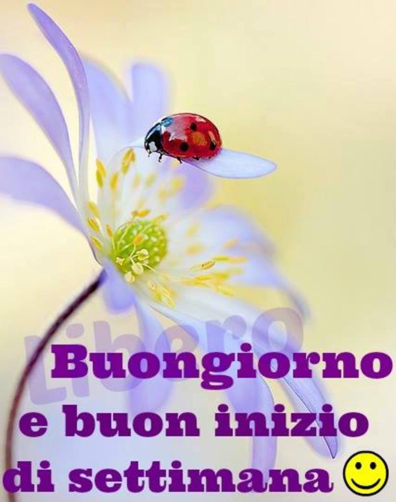 Buongiorno e buon inizio di settimana