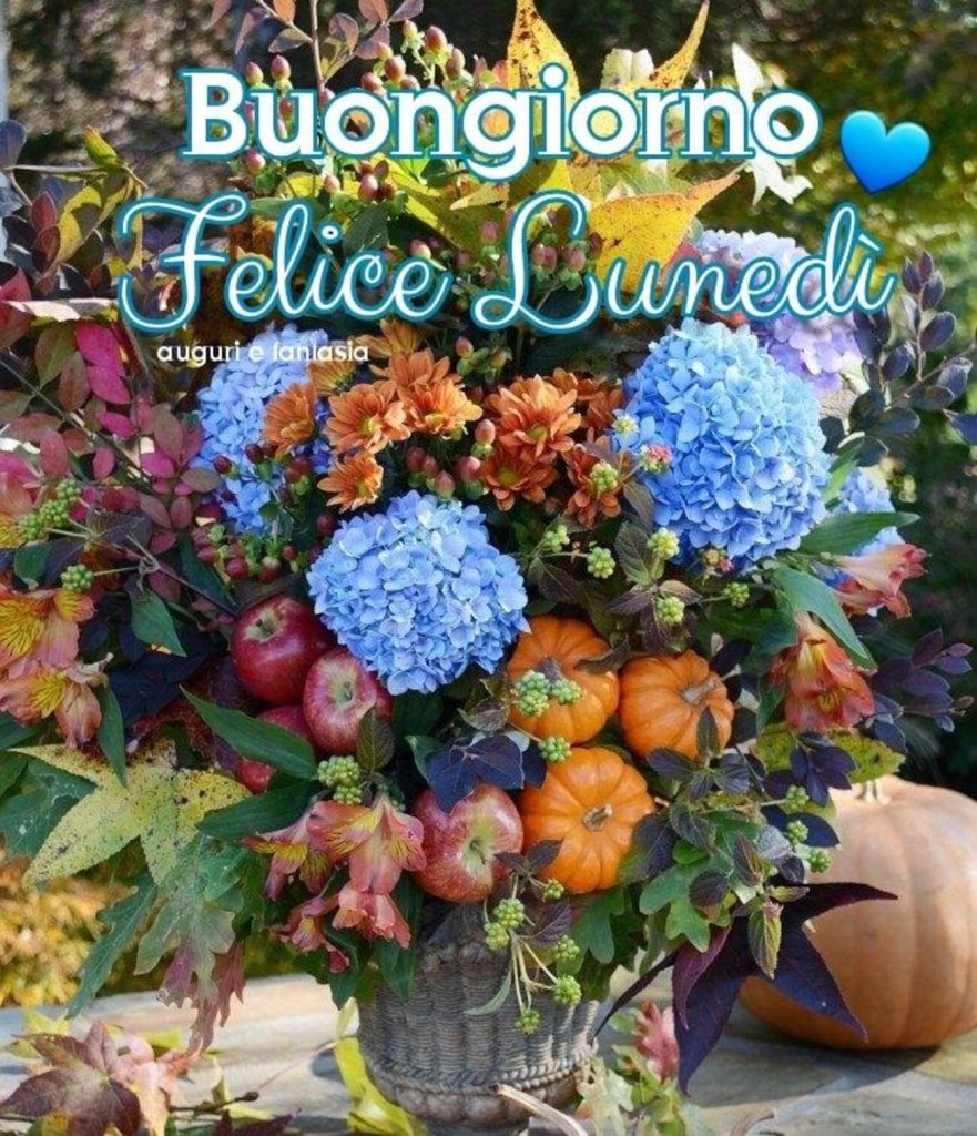 Buongiorno felice lunedì