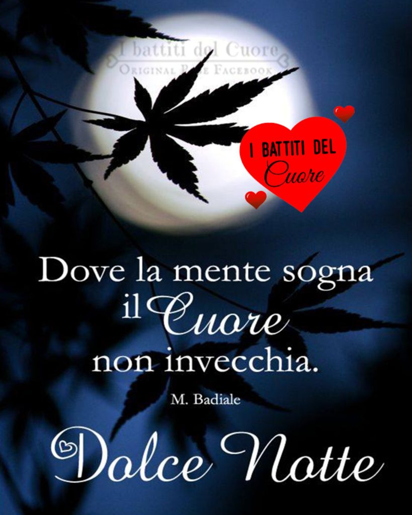 Dove la mente sogna il cuore non invecchia. Dolce notte