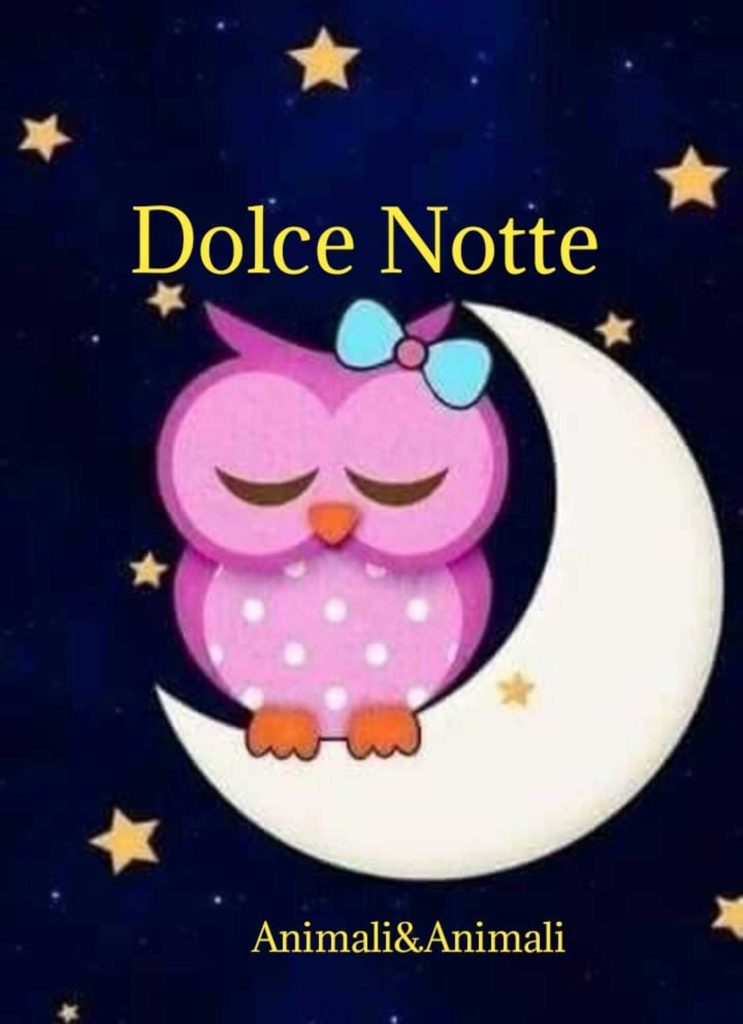 Dolce Notte