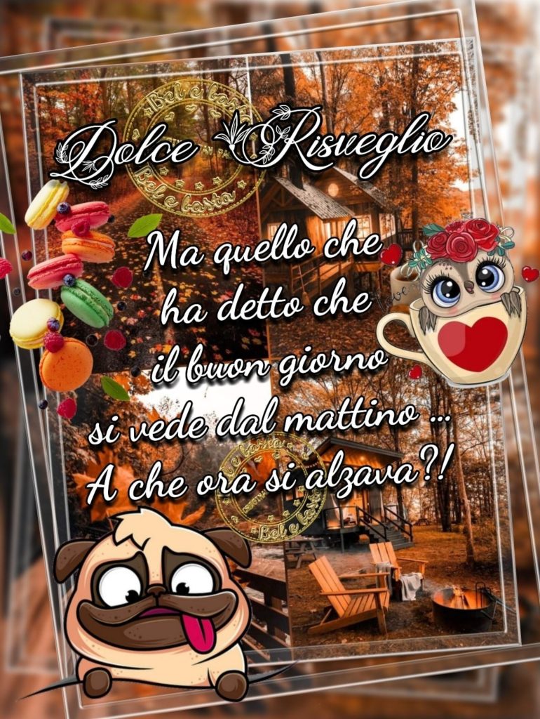 Dolce risveglio. Ma quello che ha detto che il buon giorno si vede dal mattino... A che ora si alzava?! - immagini autunnali