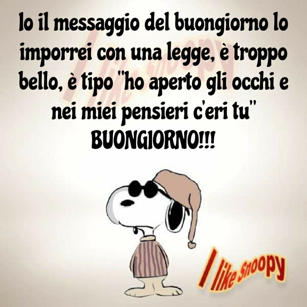 Io il messaggio del buongiorno lo imporrei con una legge, è troppo bello, è tipo "ho aperto gli occhi e nei miei pensieri c'eri tu" ... BUONGIORNO!!! - Snoopy