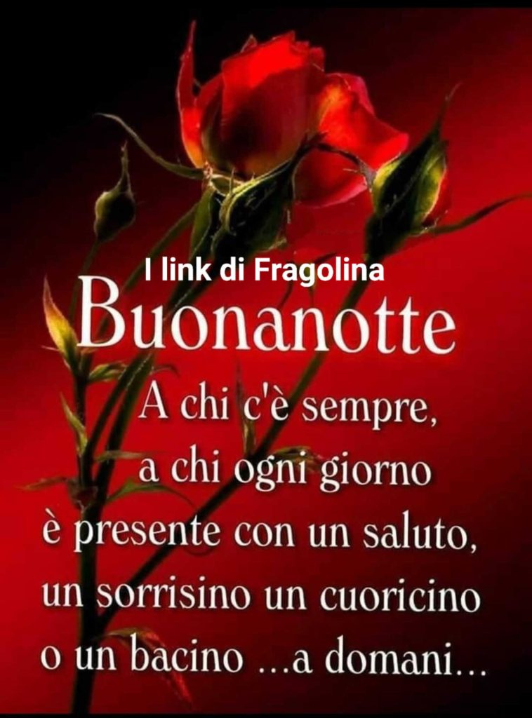 Buonanotte a chi c'è sempre a chi ogni giorno è presente con un saluto, un sorrisino un cuoricino o un bacino... a domani