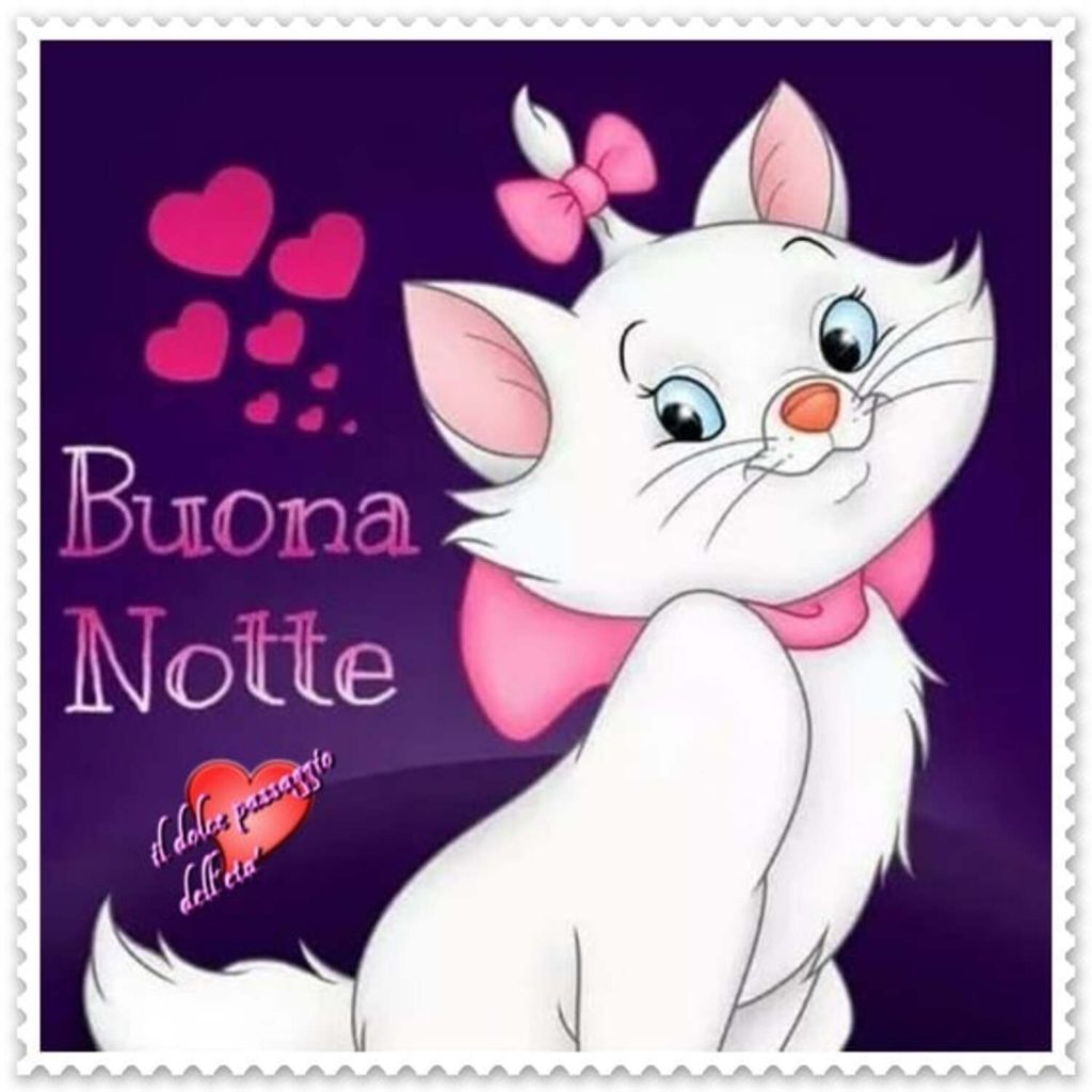 Buona Notte