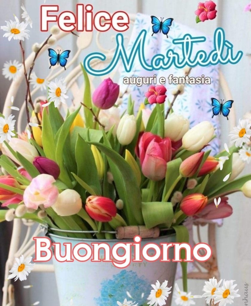 Felice Martedì Buongiorno