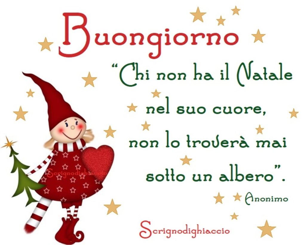 Buongiorno "Chi non ha il Natale nel suo cuore, non lo troverà mai sotto un albero"