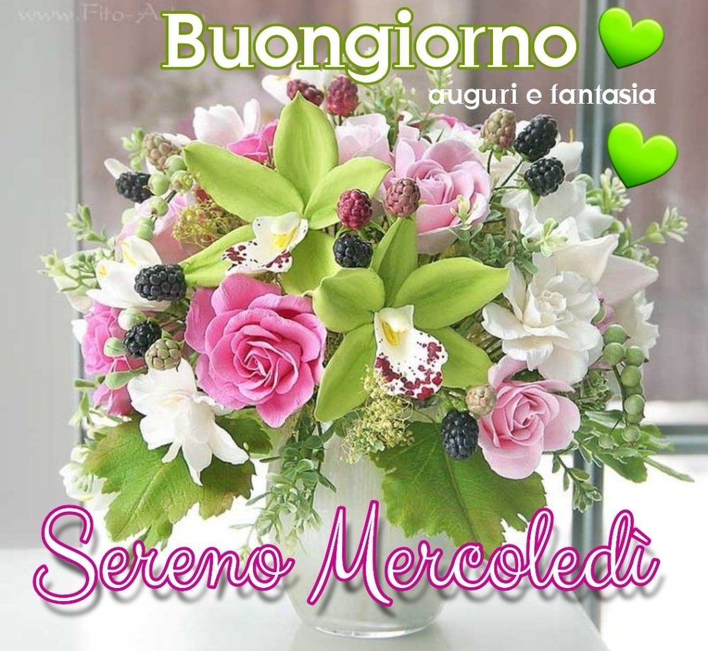 Buongiorno Sereno Mercoledì