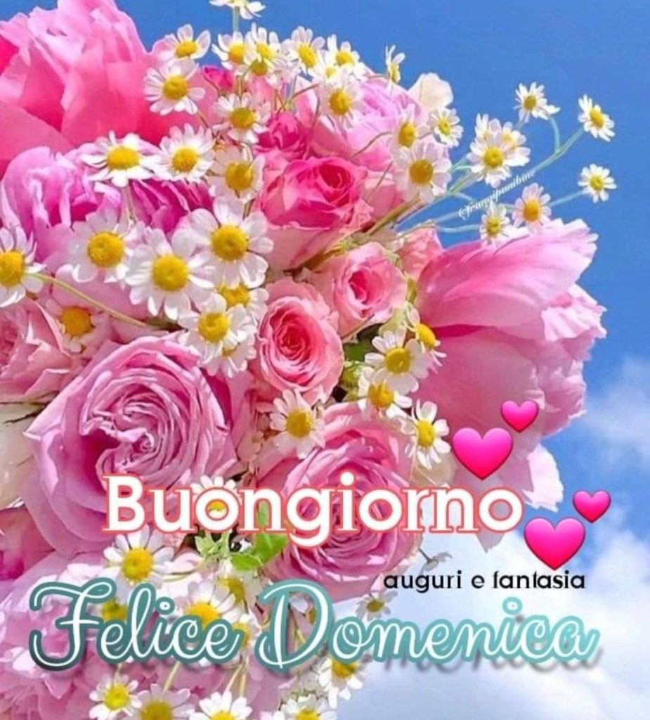 Buongiorno felice domenica