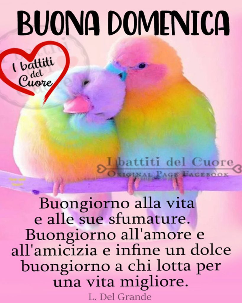 Buona Domenica Buongiorno alla vita e alle sue sfumature. Buongiorno all'amore e all'amicizia e infine un dolce buongiorno a chi lotta per una vita migliore