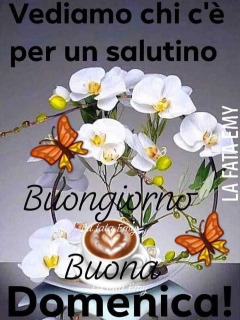 Vediamo chi c'è per un salutino Buongiorno Buona Domenica!