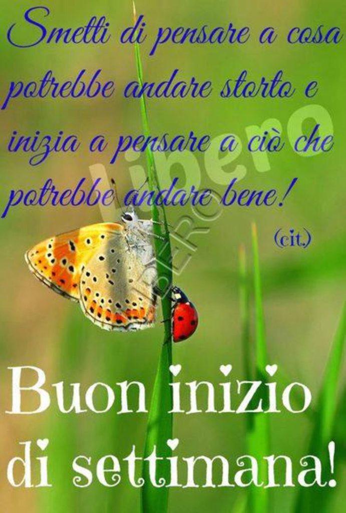 Smetti di pensare a cosa potrebbe andare storto e inizia a pensare a ciò che potrebbe andare bene! Buon inizio di settimana!