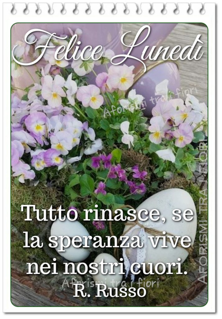 Felice Lunedì tutto rinasce, se la speranza vive nei nostri cuori