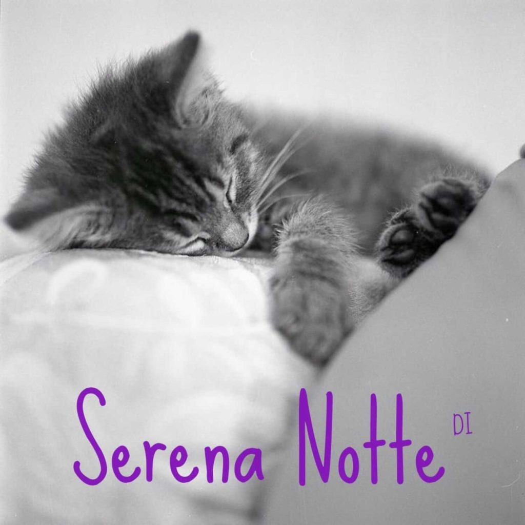 Serena Notte
