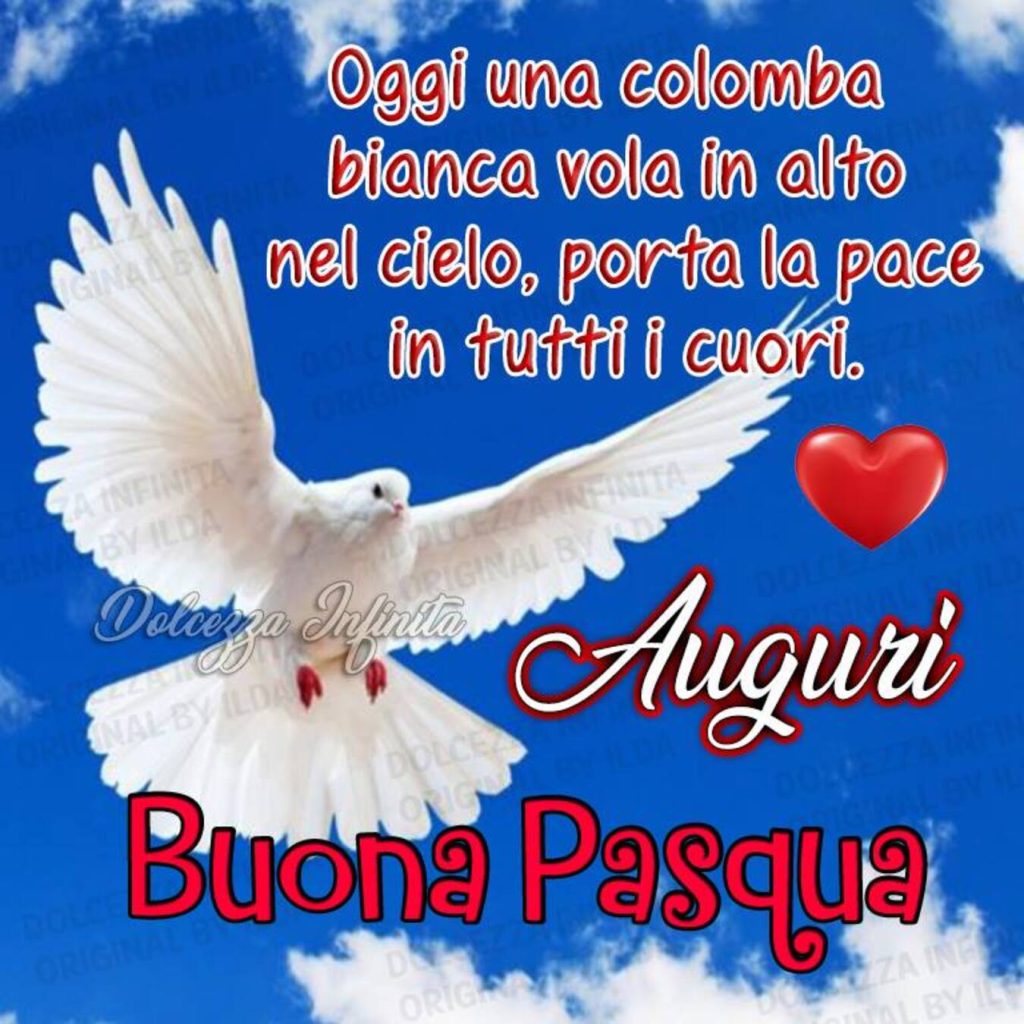 Oggi una colomba bianca vola in alto nel cielo, porta la pace in tutti i cuori Auguri Buona Pasqua