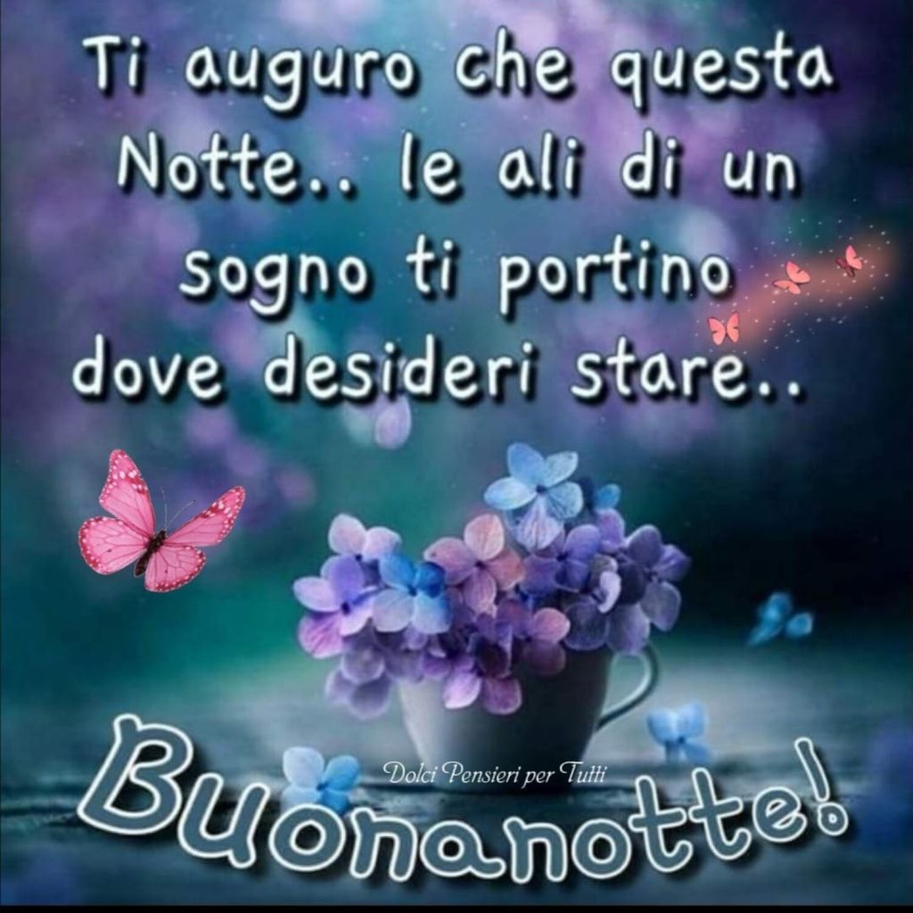 Ti auguro che questa notte... le ali di un sogno ti portino dove desideri stare... Buonanotte!