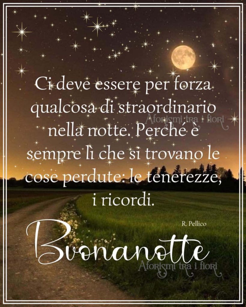 Ci deve essere per forza qualcosa di straordinario nella notte. Perché è sempre lì che si trovano le cose perdute: Le tenerezze, i ricordi Buonanotte