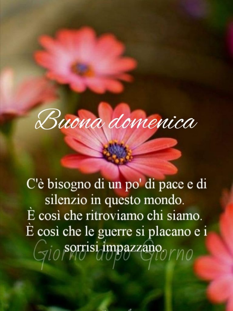 Buona Domenica C'`e bisogno di un po' pace e di silenzio in questo mondo. È così che ritroviamo chi siamo. È così che le guerre si placano e i sorrisi impazzano