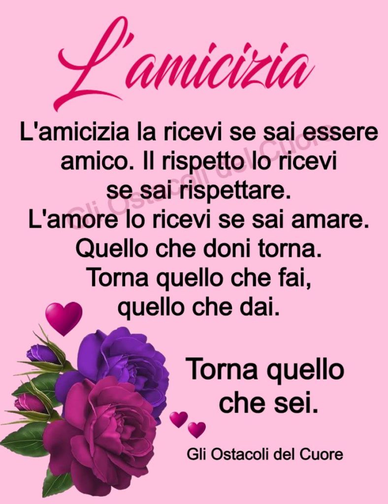 L'amicizia la ricevi se sai essere amico. Il rispetto lo ricevi se sai rispettare. L'amore lo ricevi se sai amare. Quello che doni torna. Torna quello che fai, quello che dai. Torna quello che sei.