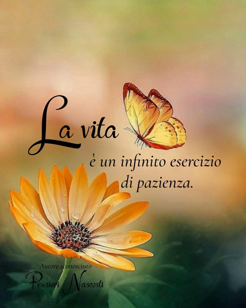 La vita è un infinito esercizio di pazienza