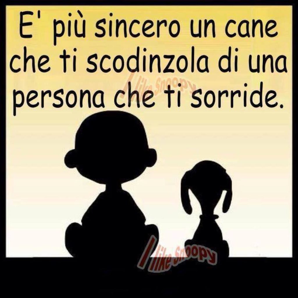 È più sincero un cane che ti scodinzola di una persona che ti sorride