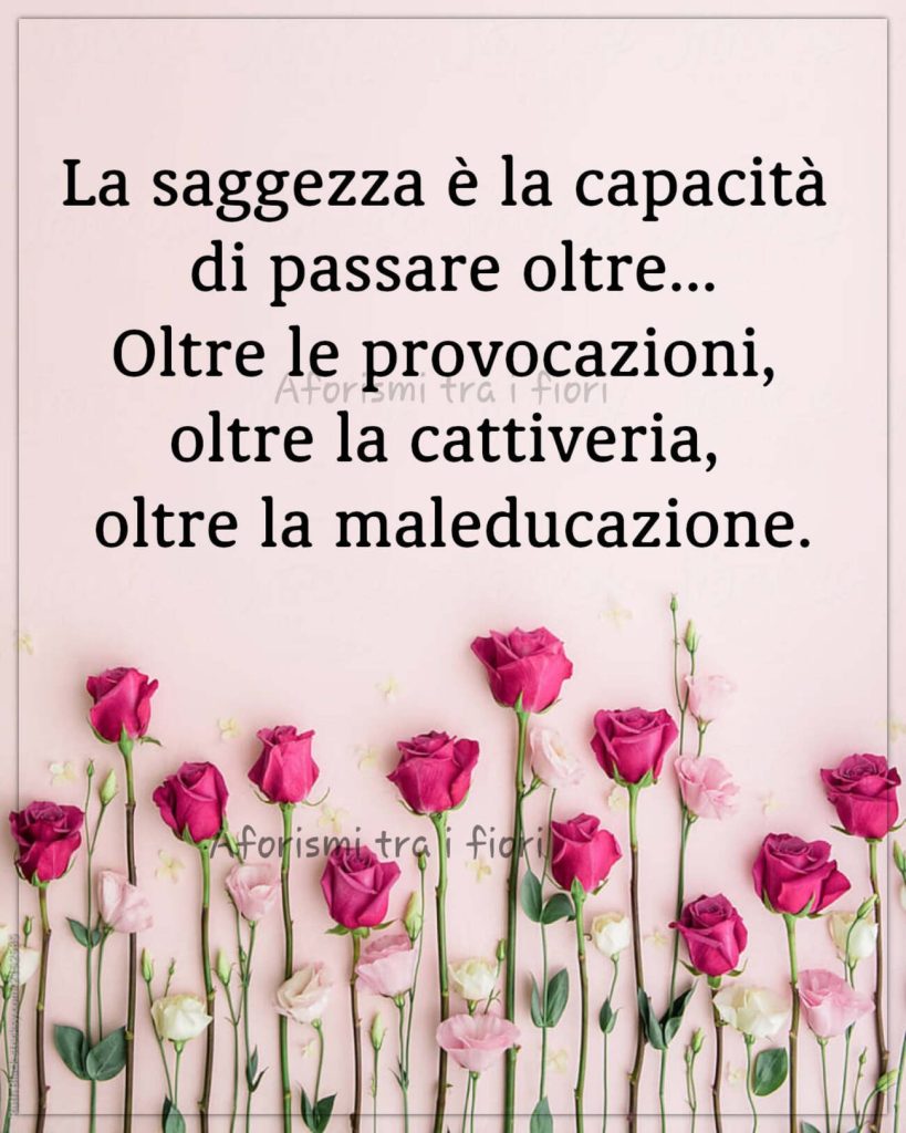 La saggezza è la capacità di passare oltre... Oltre le provocazioni, oltre la cattiveria, oltre la maleducazione