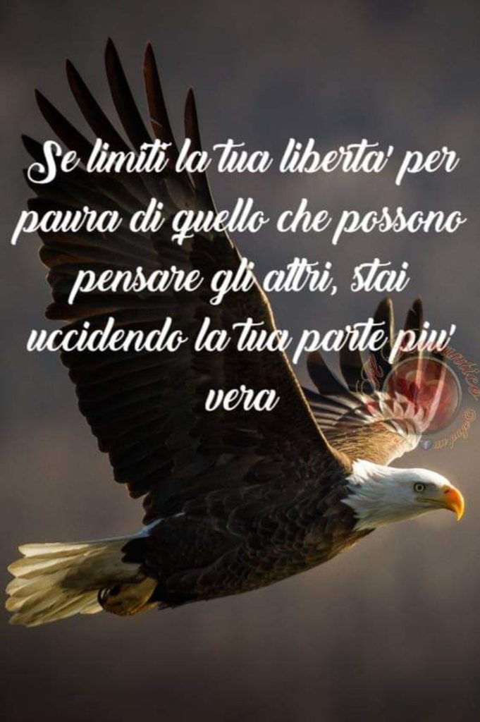 Se limiti la tua libertà per paura di quello che possono pensare gli altri, stai uccidendo la tua parte più vera