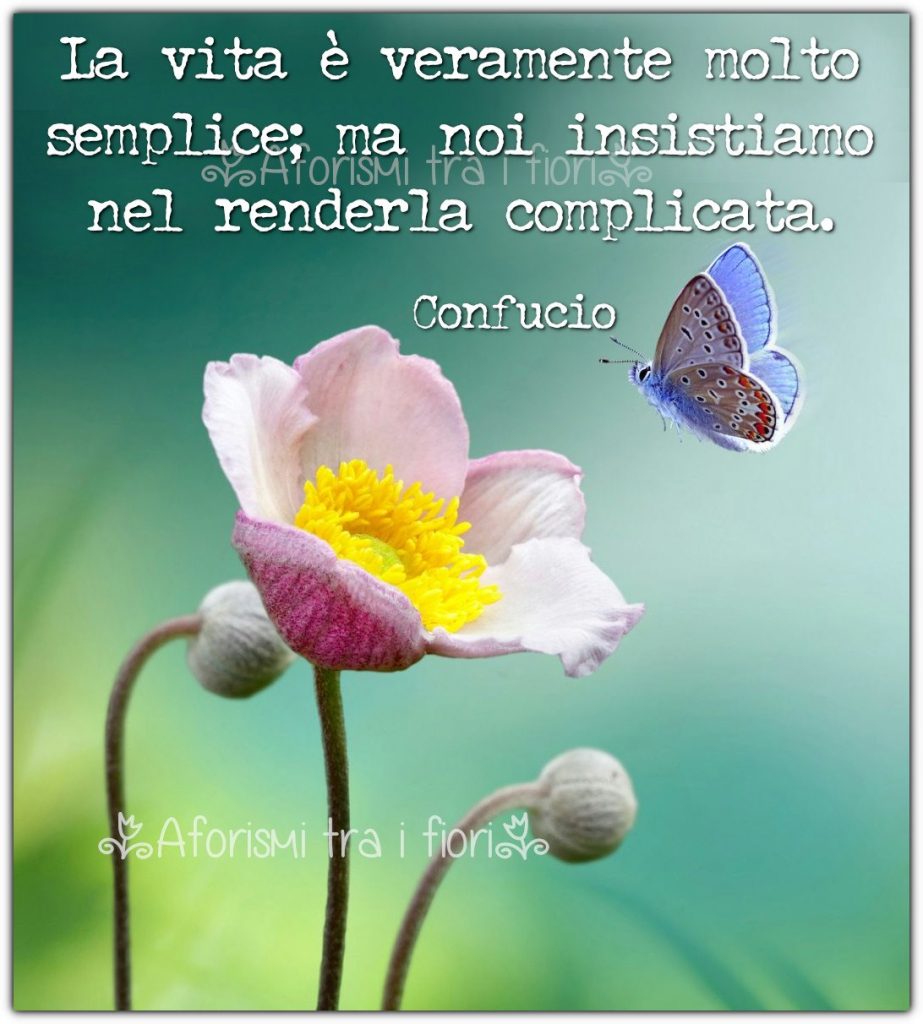 La vita è veramente molto semplice: ma noi insistiamo nel renderla complicata