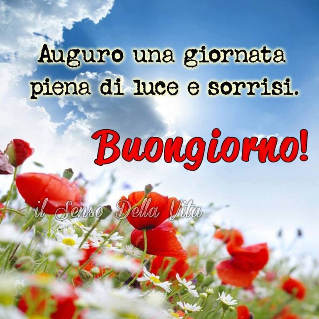 Auguro una giornata piena di luce e sorrisi Buongiorno!