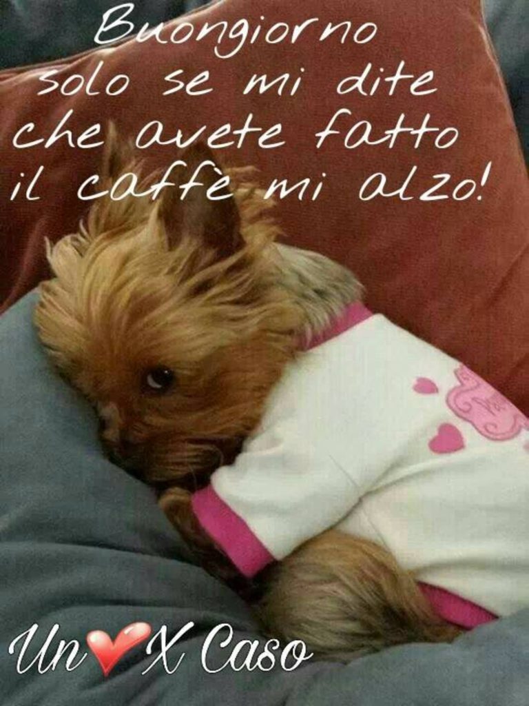 Buongiorno solo se mi dite che avete fatto il caffé mi alza!