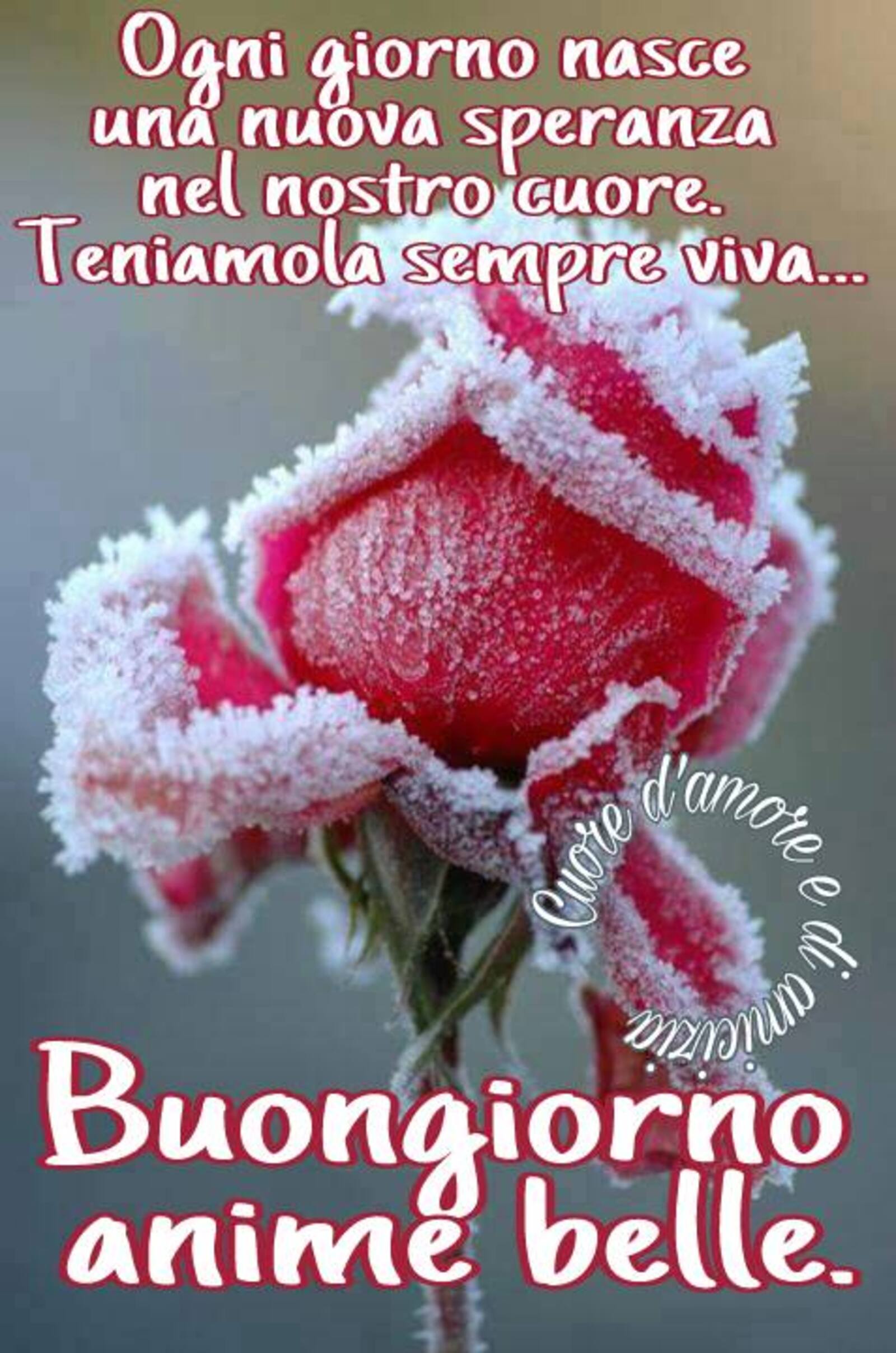 buongiorno gratis Archivi - Buongiorno.gallery