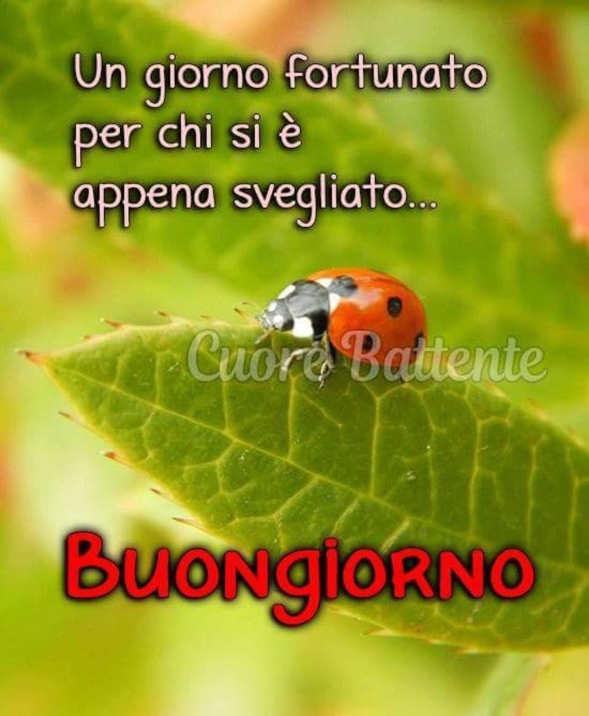 Un giorno fortunato per chi si `e appena svegliato... Buongiorno