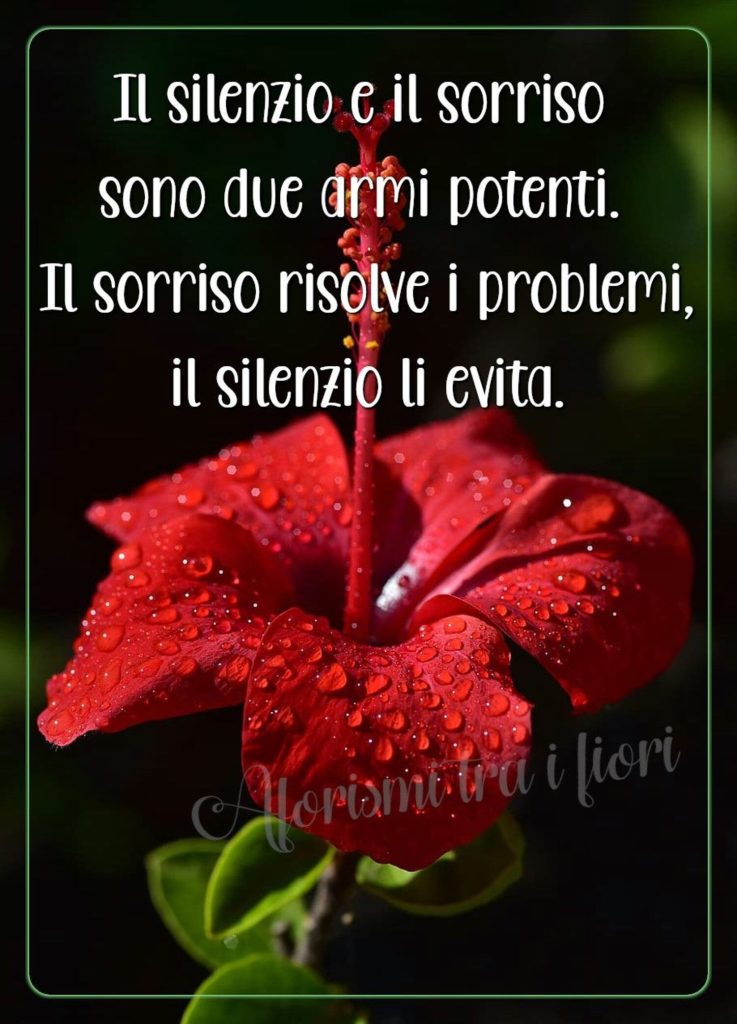 Il silenzio e il sorriso sono due armi potenti. Il sorriso risolve i problemi, il silenzio li evita.