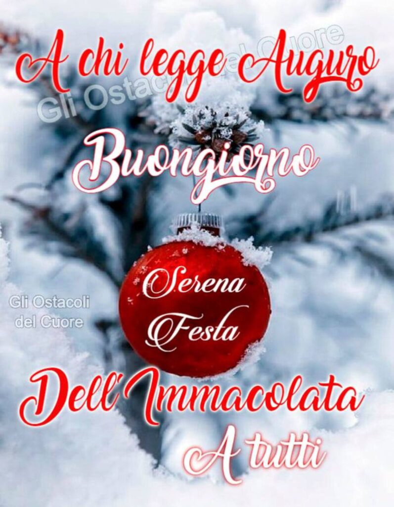 Buona Festa dell'Immacolata