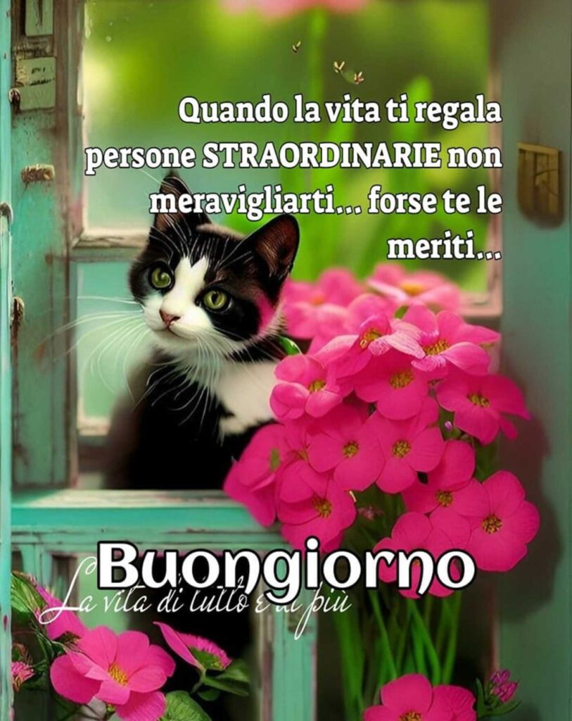 Quando la vita ti regala persone straordinarie non meravigliarti... forse te le meriti... Buongiorno