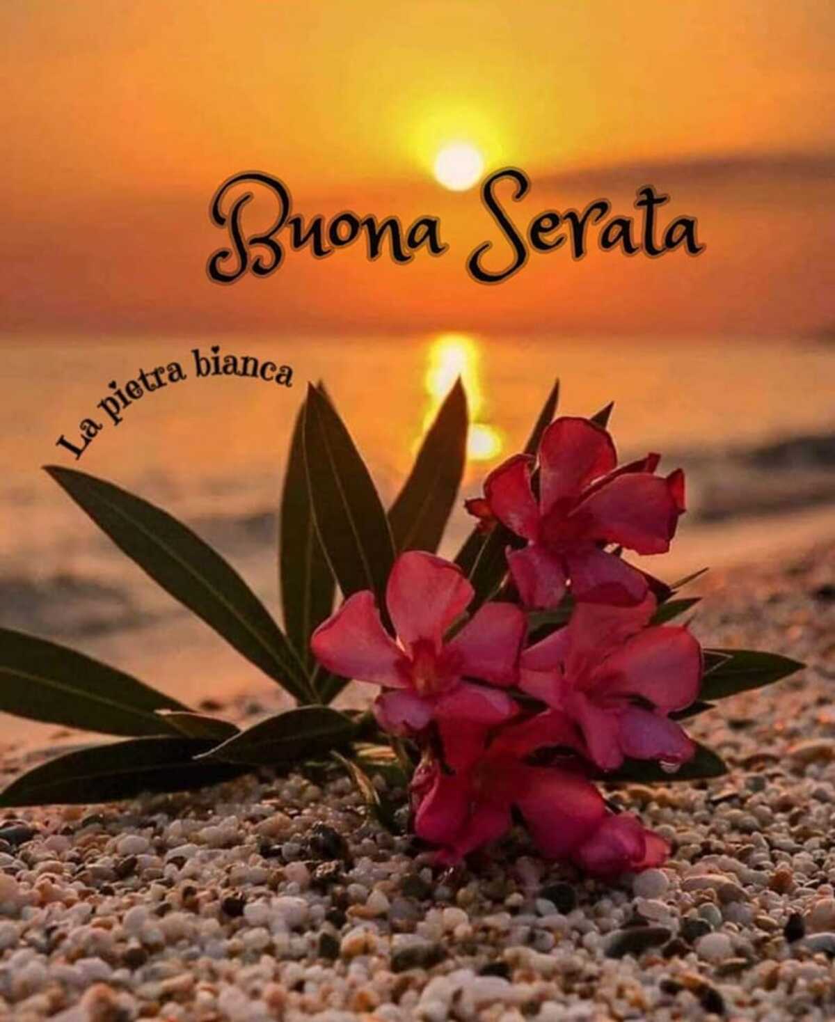 buona serata